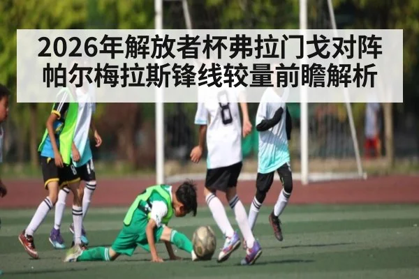 2026年解放者杯弗拉门戈对阵帕尔梅拉斯锋线较量前瞻解析